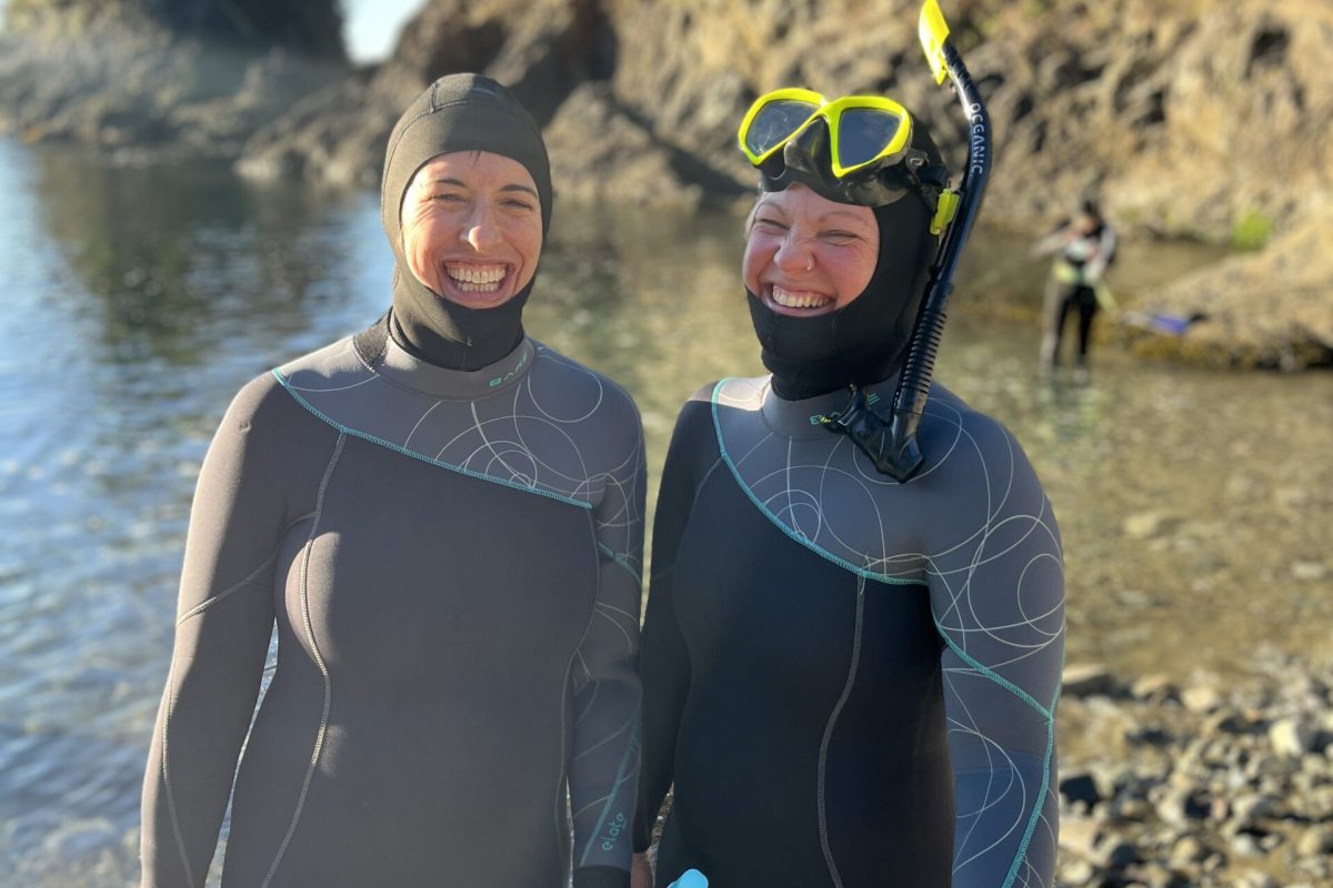 snorkel snorkelling January