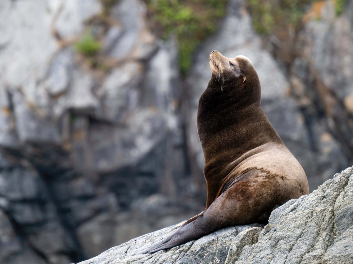 Image: Kirst King Jones